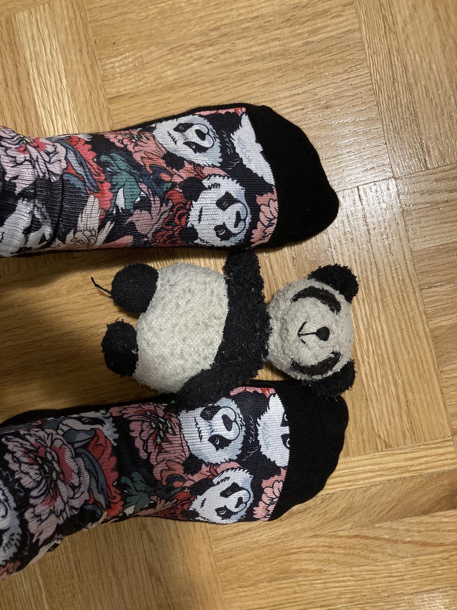 Adventure_Gauss's tweet photo. Panda socks are #pandaApproved https://t.co/ayYv9bZeh9