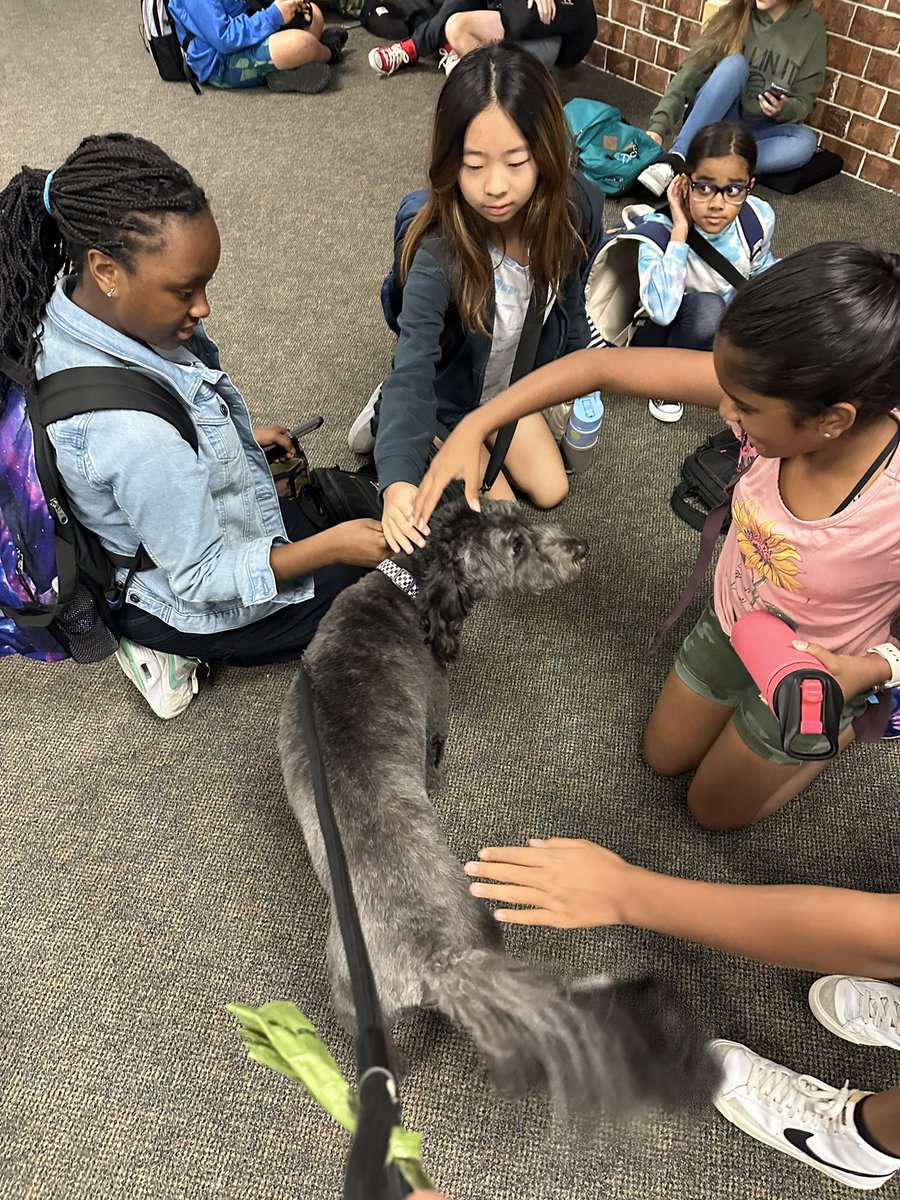 Remi_Ingwerson's tweet photo. All my friends loved my new haircut today! I love this school! ❤️ 🐕 https://t.co/XUodFMddIv