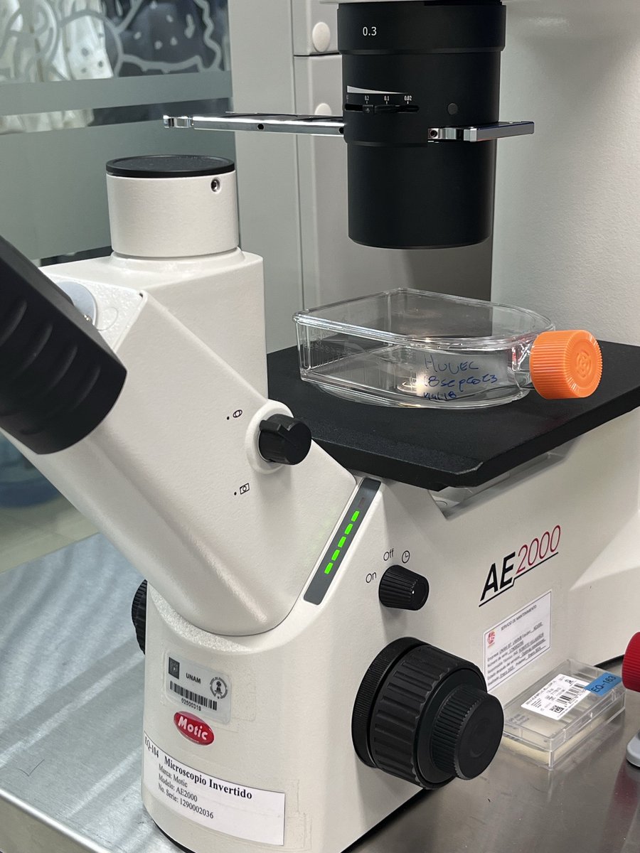 ibt_unam's tweet image. Enhorabuena a los técnicos académicos del Instituto, expertos en su campo, por compartir su pericia.

#OrgulloUNAM #OrgulloIBT