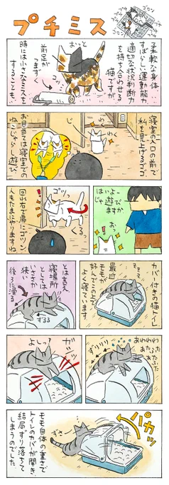 「思い通りには…」 たまに見せるドジっ子加減。 「たまに」がポイント。 くすぐられますよね～ (久保智昭さんの「猫色スケッチブック」)つづきはこちら⇒