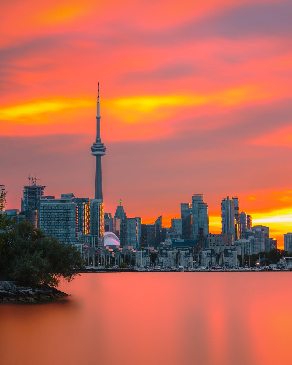 KurtWang.eth tweet media