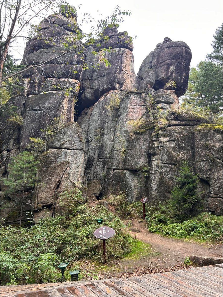 China_says's tweet photo. Witness the power of nature's sculpting at the Tangwang River Stone Forest Scenic Area in Yichun, northeast China's Heilongjiang Province. Explore history, find solace, and be awed by Earth's ancient past. #ChinaSaysHello https://t.co/f7wiKPxRvK