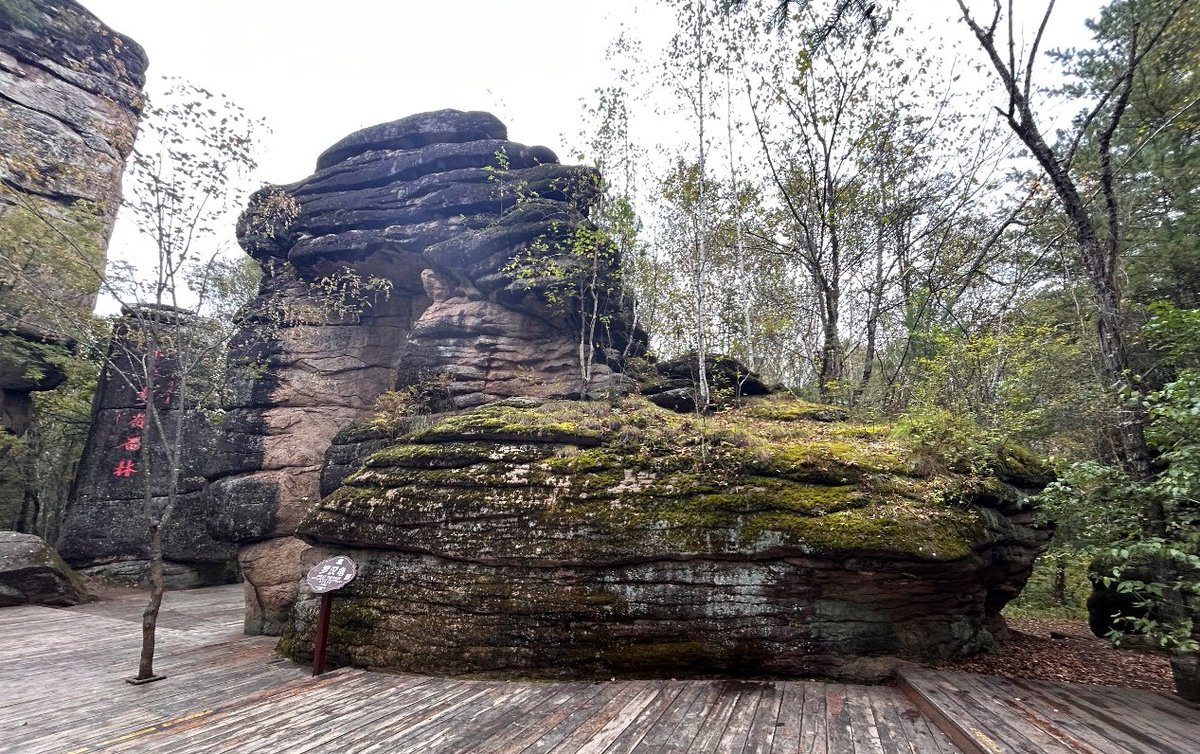 Witness the power of nature's sculpting at the Tangwang River Stone Forest Scenic Area in Yichun, northeast China's Heilongjiang Province. Explore history, find solace, and be awed by Earth's ancient past. #ChinaSaysHello