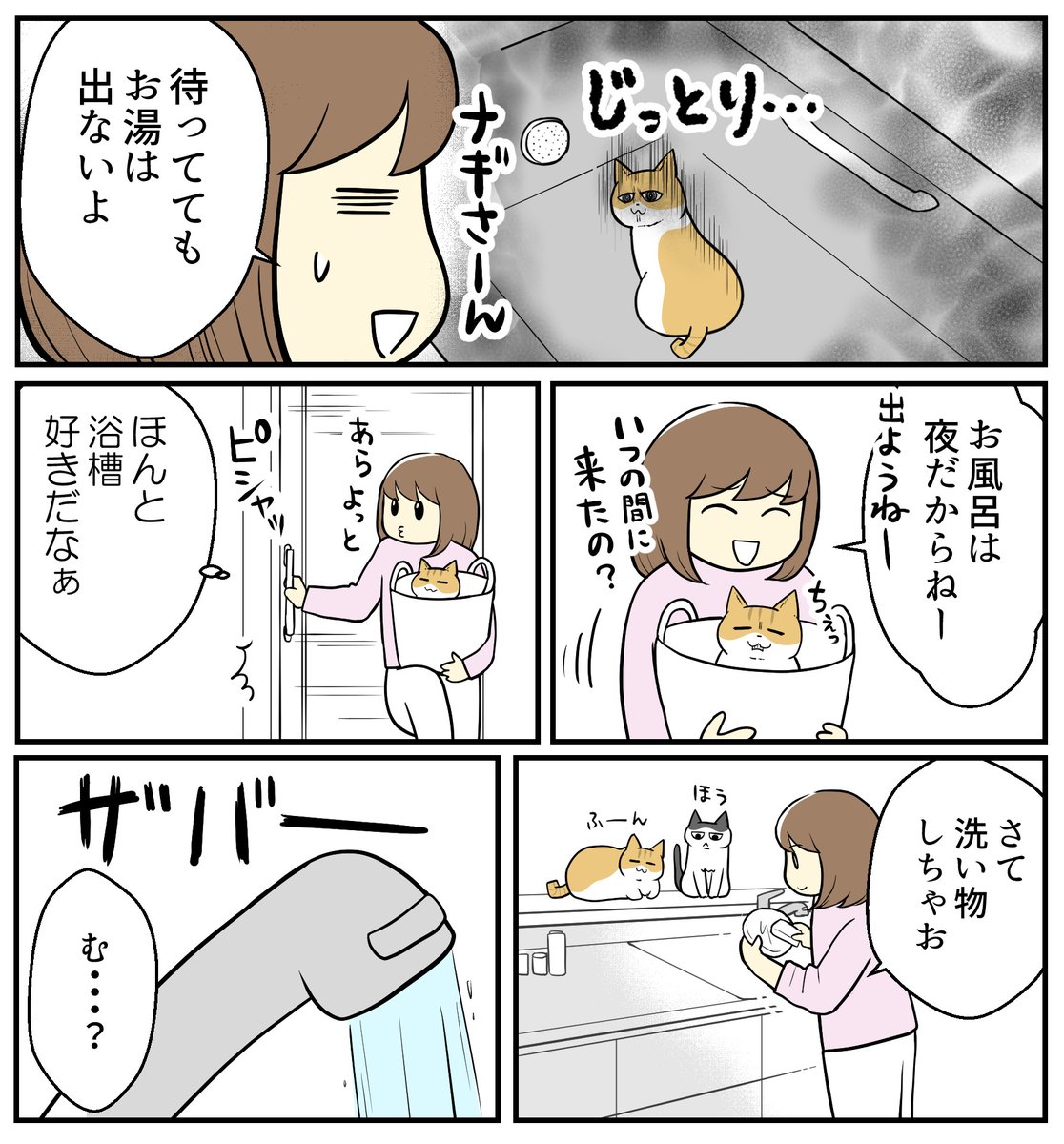 (2/3) 