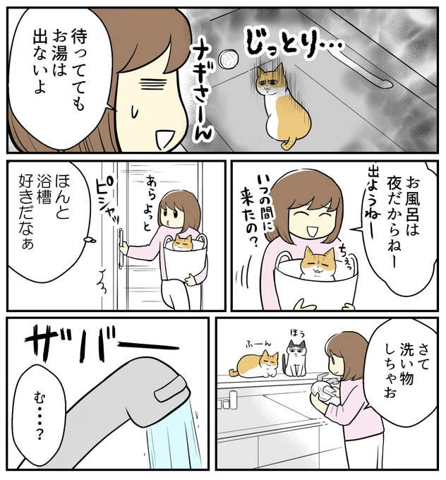 (2/3) 