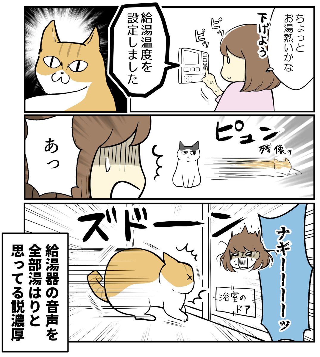 (2/3) 