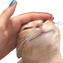 morbxganyu's tweet photo. HOLAAA, TAMOS EN STRIM RAINAO
En mi perfil está el link, adivinen que, me enfermé jeje 
¿como te ha ido, tilin? https://t.co/FxltN63AiX