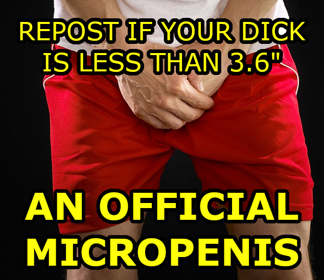 LordSPH's tweet photo. #SPH #GaySPH #smallpenishumiliation #smallcockhumiliation #submissives #smallpp #tinydick #tinypenis #littledick #littlepenis #lilpp #sphcaptions #tinypp https://t.co/yrtxSU24Q0