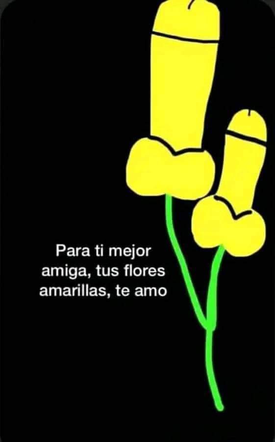 GoodGodTyres's tweet photo. Sal estoy afuera, te traje tus flores amarillas 🌻 https://t.co/PjNOWjwzQb