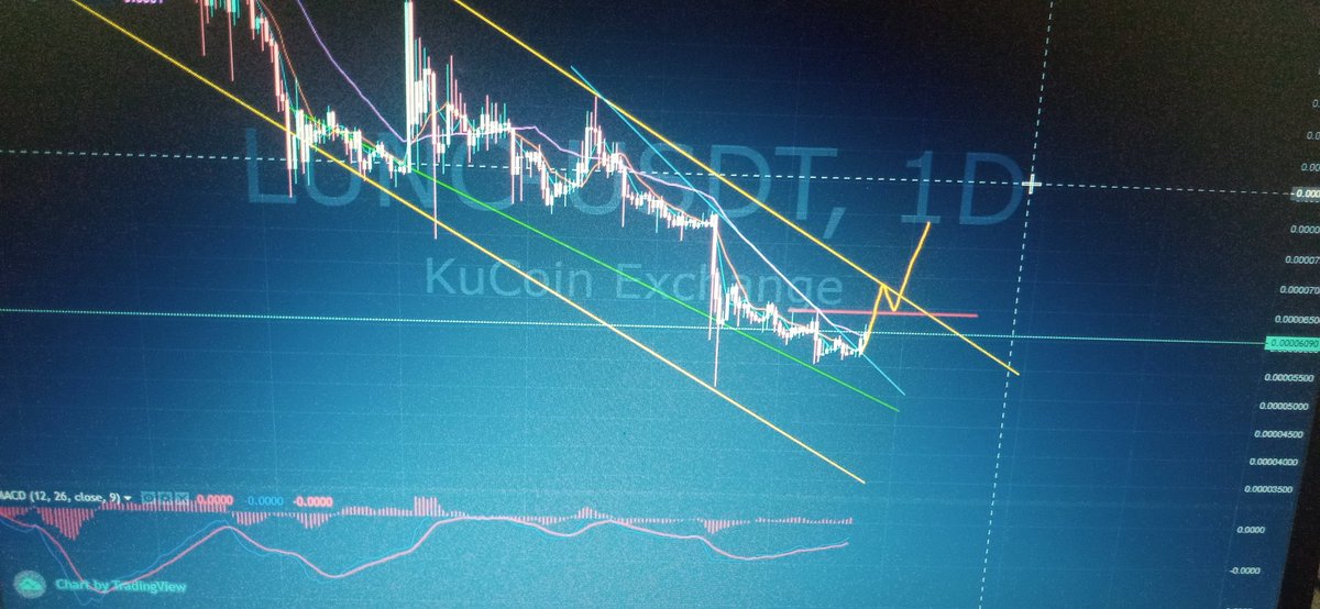 Crypto Information Channel tweet media
