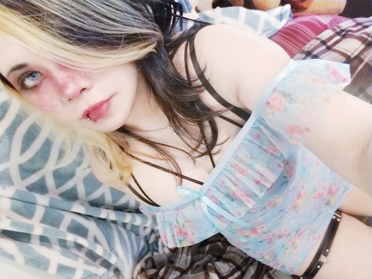 Purrder's tweet photo. https://t.co/xTCBW2zq4s