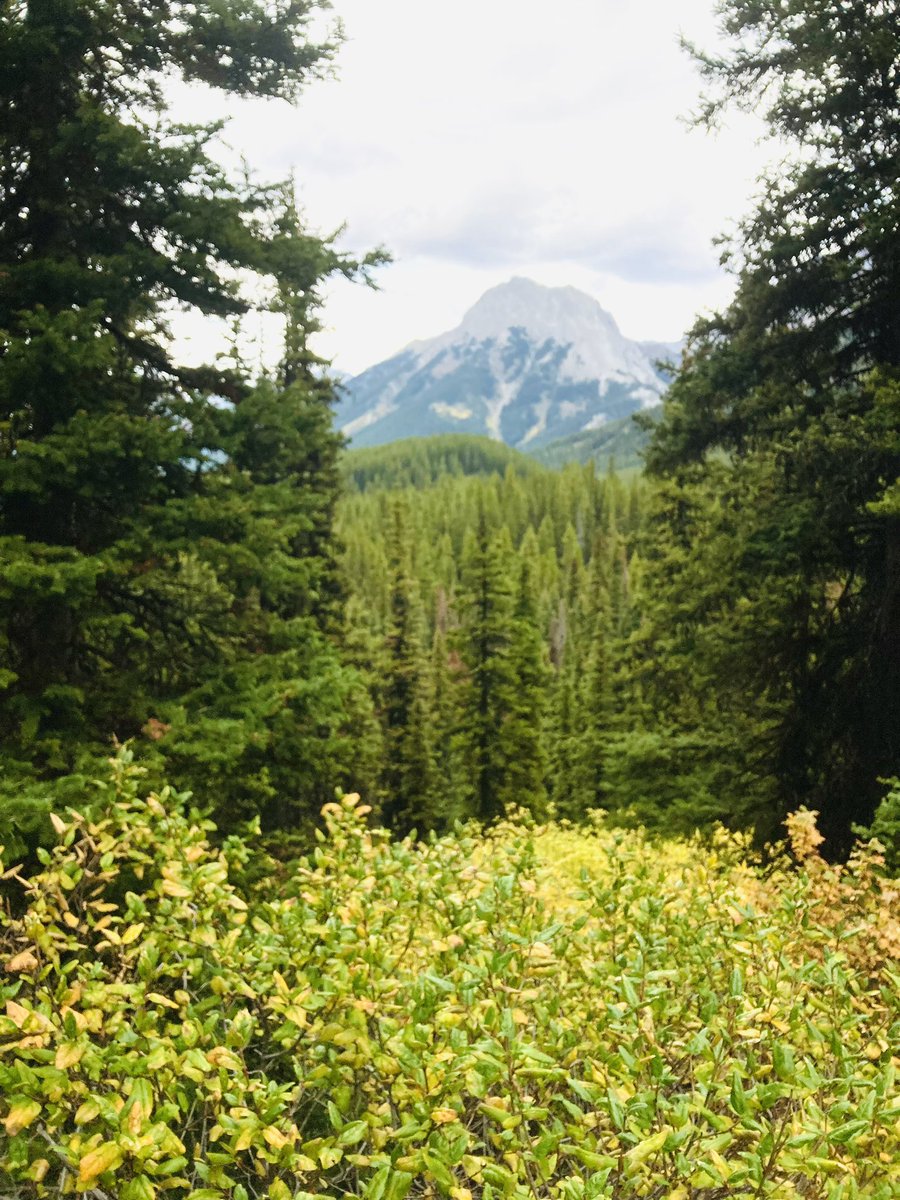 WifeyNaomi's tweet photo. We escaped to the mountains for a wonderful rest/camping trip β€οΈ is there anything better than sitting in Godβs creation and worshiping Him? We are really blessed to live so close to such a beautiful place. #peterlaugheedprovincialpark #kananaskis #Alberta #Banff #bowfalls https://t.co/s7kQ2YyyxT