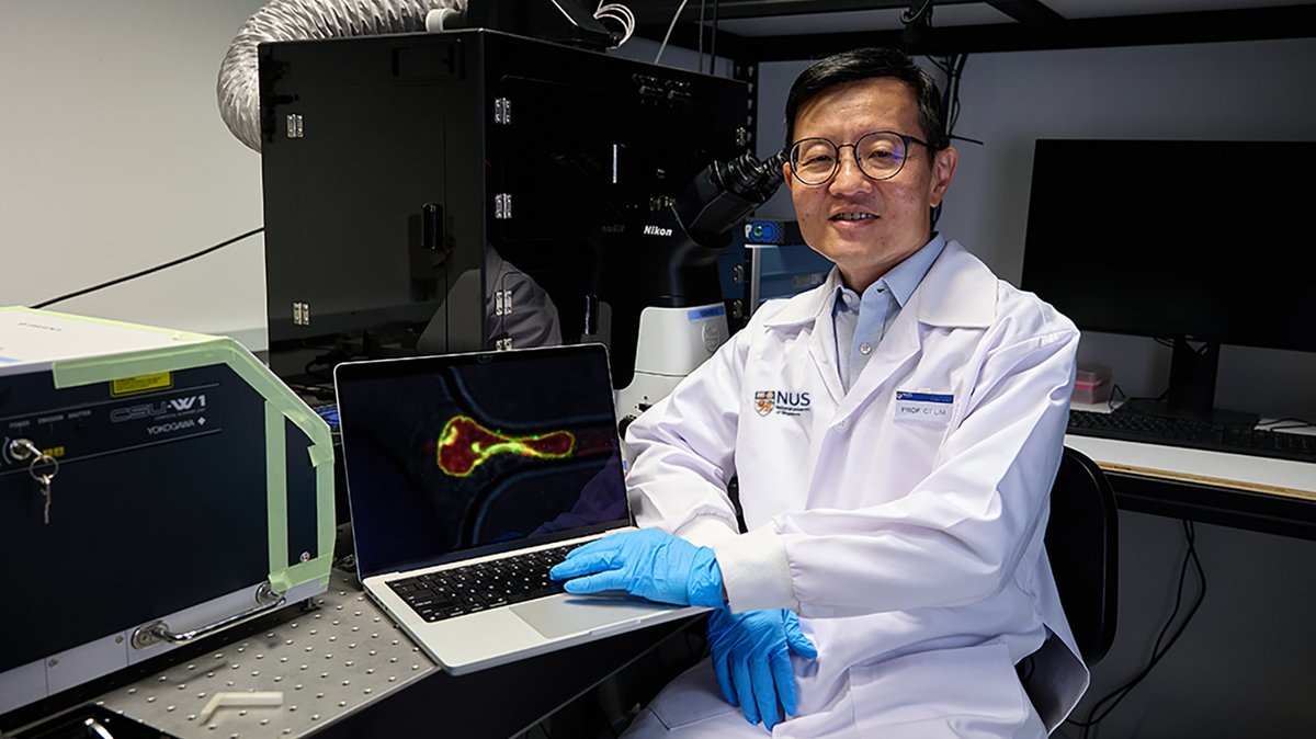 Can adversity make you stronger? Prof Lim Chwee Teck (<a href="/CTLimLab/">CT Lim</a>) and his team at NUS iHealthtech suggest that cancer cells surviving mechanical stresses are more prone to metastasis. 

news.nus.edu.sg/when-cancer-ta…