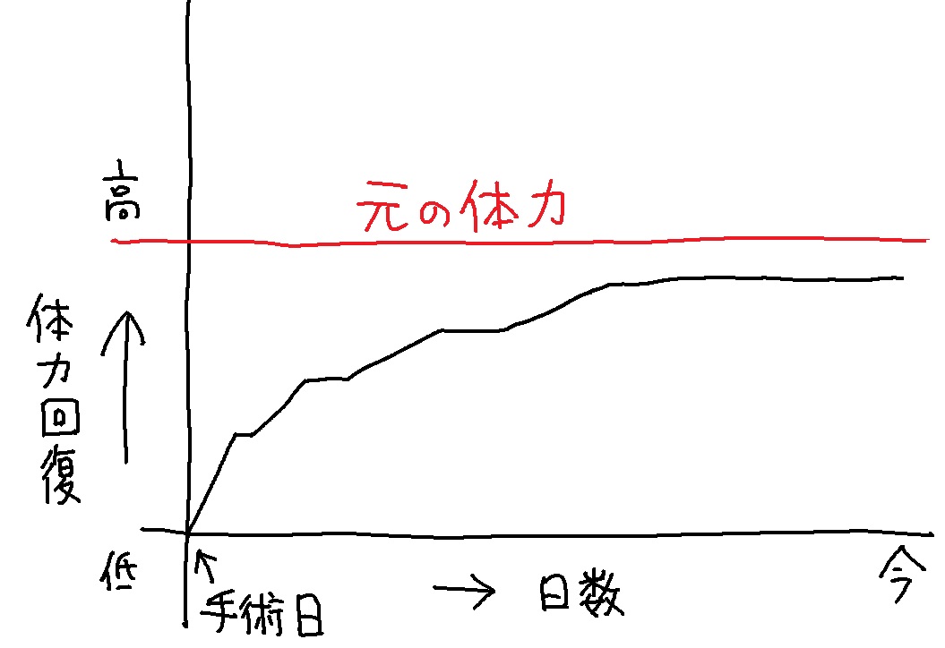 体力回復具合がこんな感じで、脚力に任せて少したくさん歩くと頭がぼんやりしてミス連発してしまいます。近くに色々生えててありがたいですが遠くの緑地も恋しいです～。 