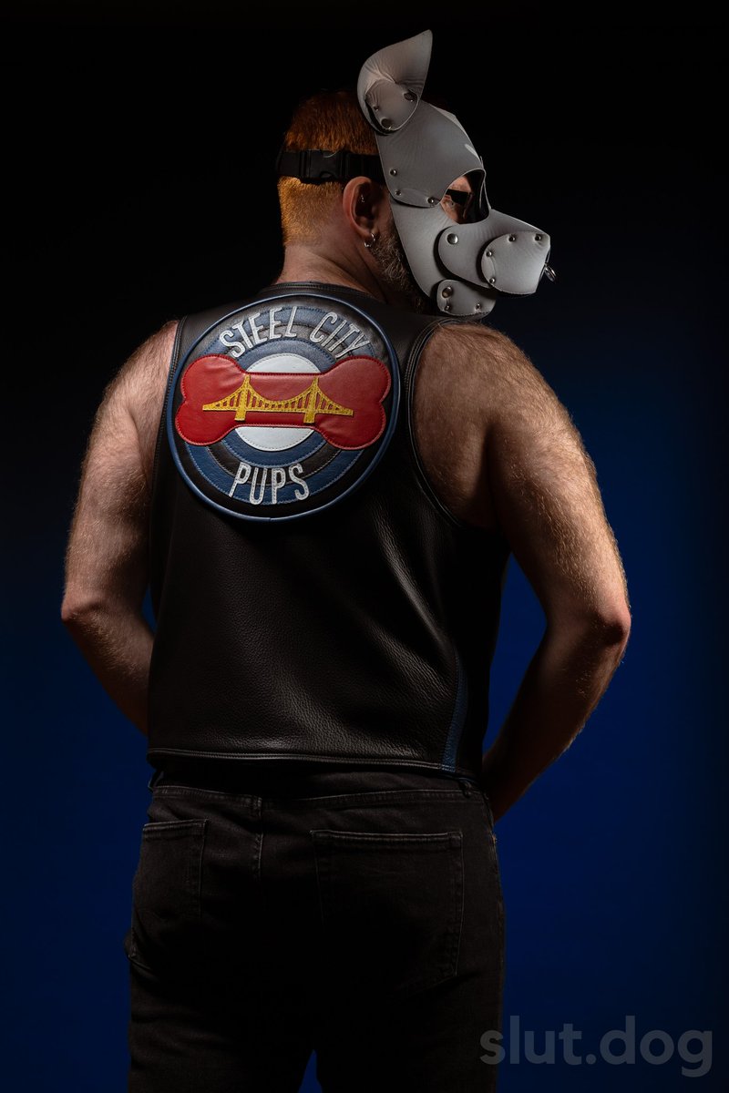 AlphaPupBlue🦋 tweet media