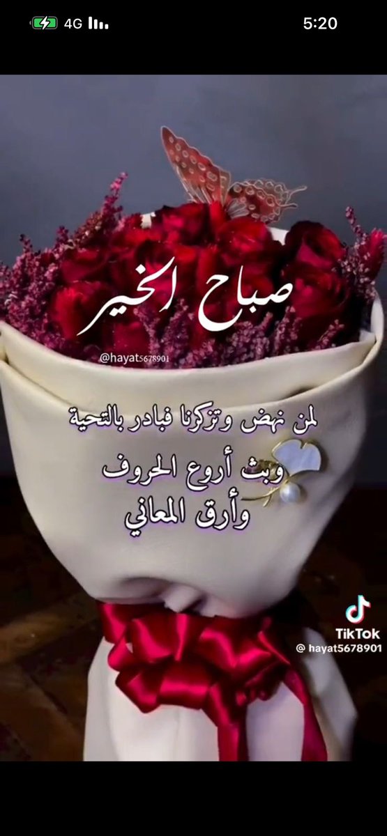 Mona 💞 tweet media