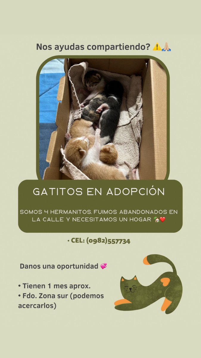marifergaleano's tweet photo. PORFA RT ❤️ https://t.co/bJCqhkbfvx