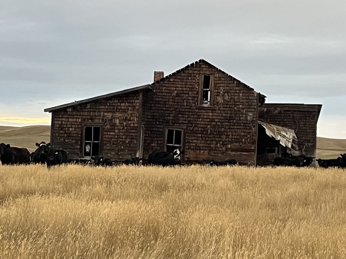 Kelly Walker tweet media