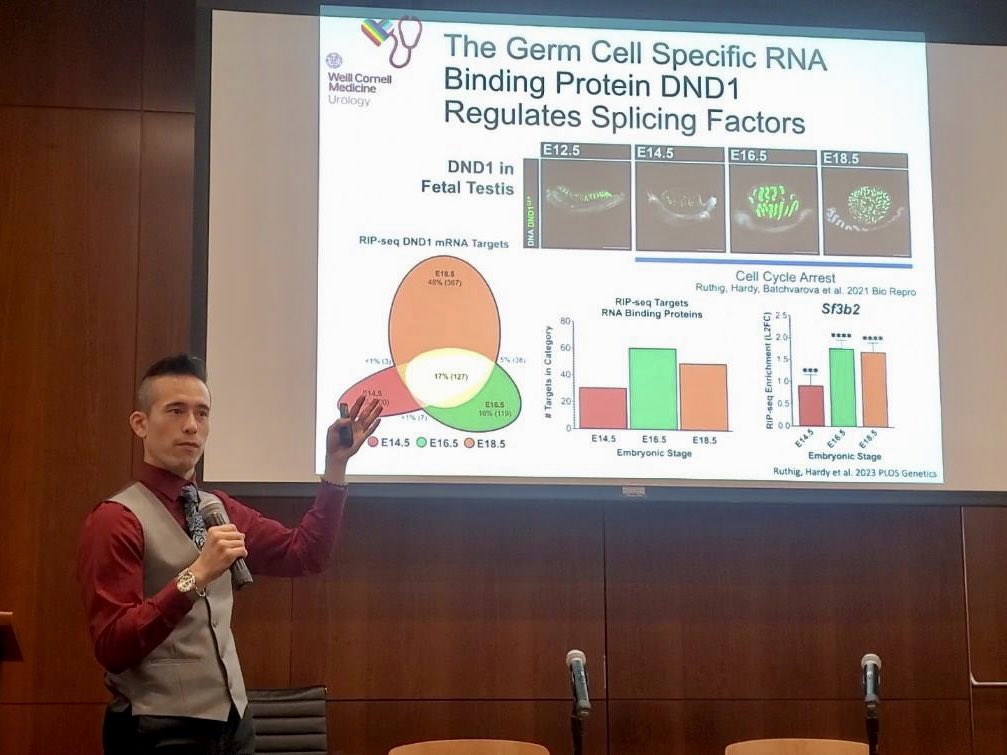 G4 (Genes, Germ Cells, Genitals, and Gonads) for the win! Really grateful for all the students I’ve had over the years who have helped fuel this long-term #DevelopmentalBiology and #RNA project #PostdocLife <a href="/WCMUrology/">Weill Cornell Medicine Urology</a>
Photo Credit <a href="/HamorUriel/">Peter Uriel Hámor</a>