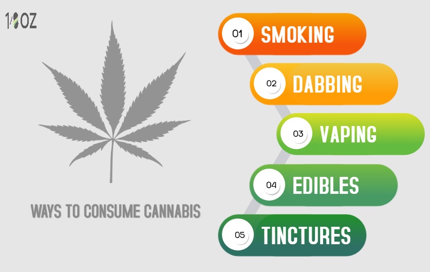 18ozcom's tweet photo. Exploring the diverse ways to enjoy cannabis is like embarking on a flavorful journey through a world of possibilities! 🌿
#CannabisCommunity #CannabisCulture #ExploreCannabis #CannabisEducation #CannabisDaily #Cannabisforall https://t.co/fT6HJ7j30r