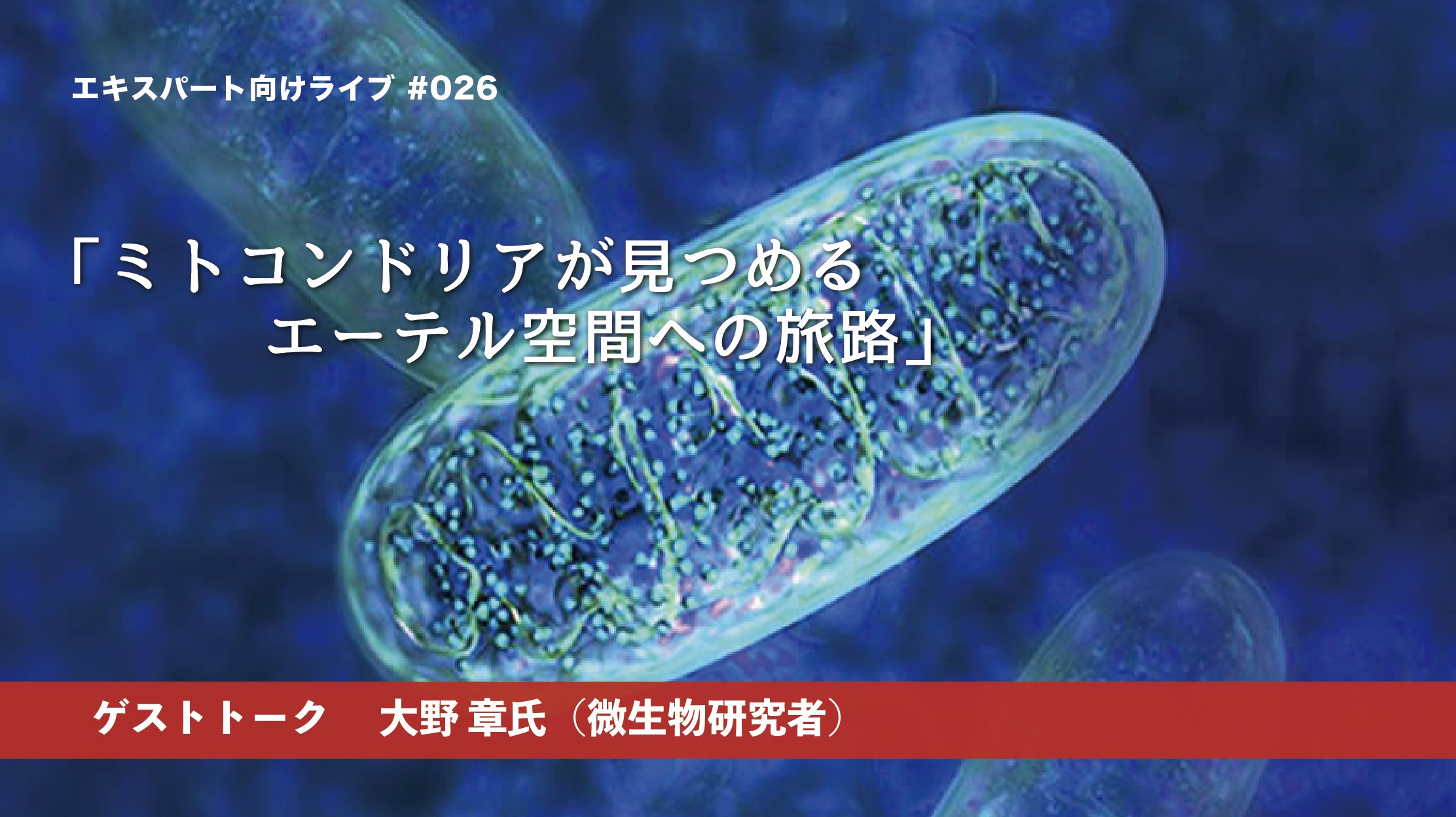 シュタイナー思想とヌーソロジー シュタイナー思想とヌーソロジー 物質