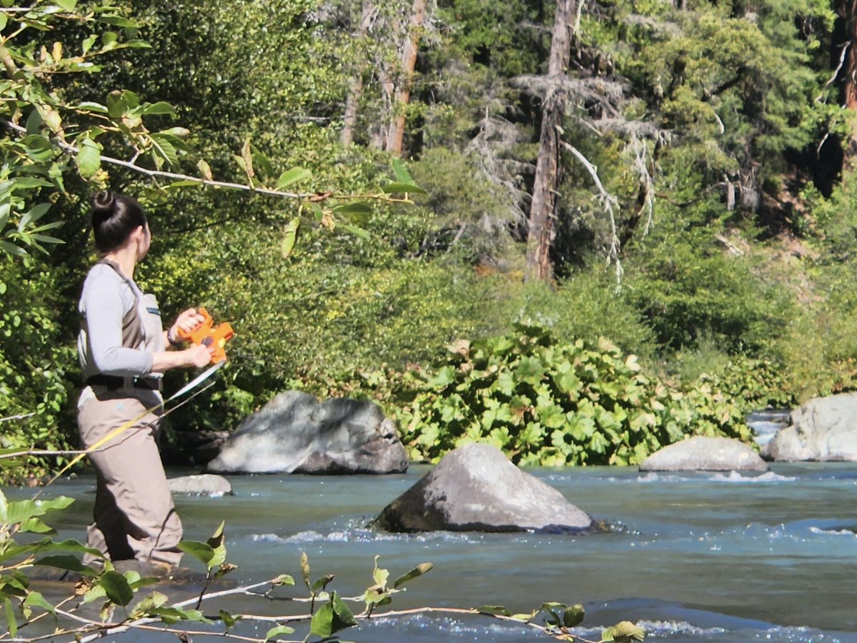 alexandra__chu's tweet photo. fun times collecting invert samples in the McCloud 🗻
#womeninwaders https://t.co/dBQYern46r