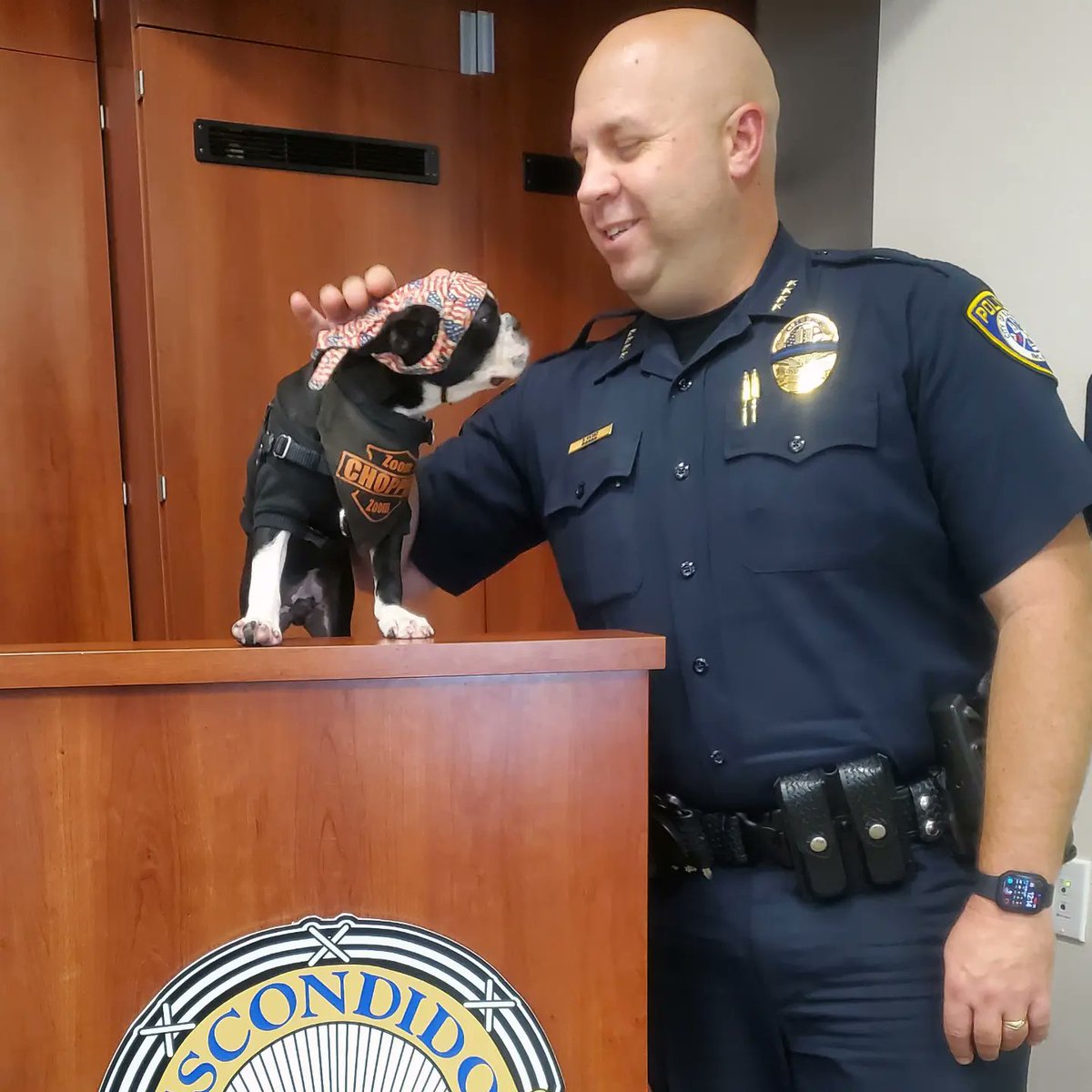 ChopperBikerDog's tweet photo. Fun time at the @EscondidoPolice station. Attending the #ShopWithACop fundraising BBQ w/ @STAR_PAL. Little Chopper Jr. even got 2 hang out &amp; have lunch w/ the Police chief &amp; staff 👍👮💙 
#MakingADifference  #Bikerdog #ItsAllAboutTheKids #ChopperJr  #LittleChopper #Chopper https://t.co/vh4JlHJD4e