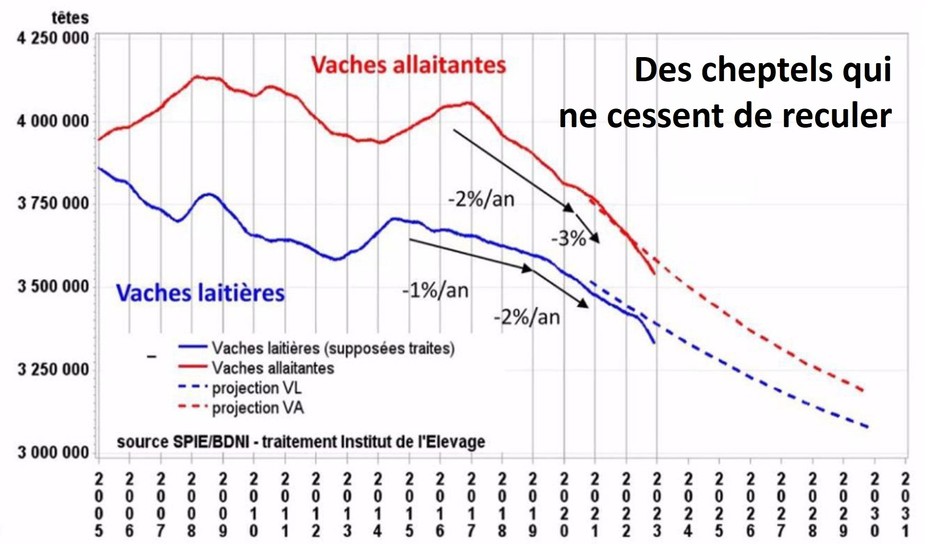 L'inquiétant déclin de l'élevage français
En cause le discrédit dont souffrent les métiers d'élevage. 
Le passage d'un modèle intensif à un autre moins productif n'est pas gagné et pourrait compromettre les objectifs de souveraineté alimentaire nationale…
sco.lt/7W28iO