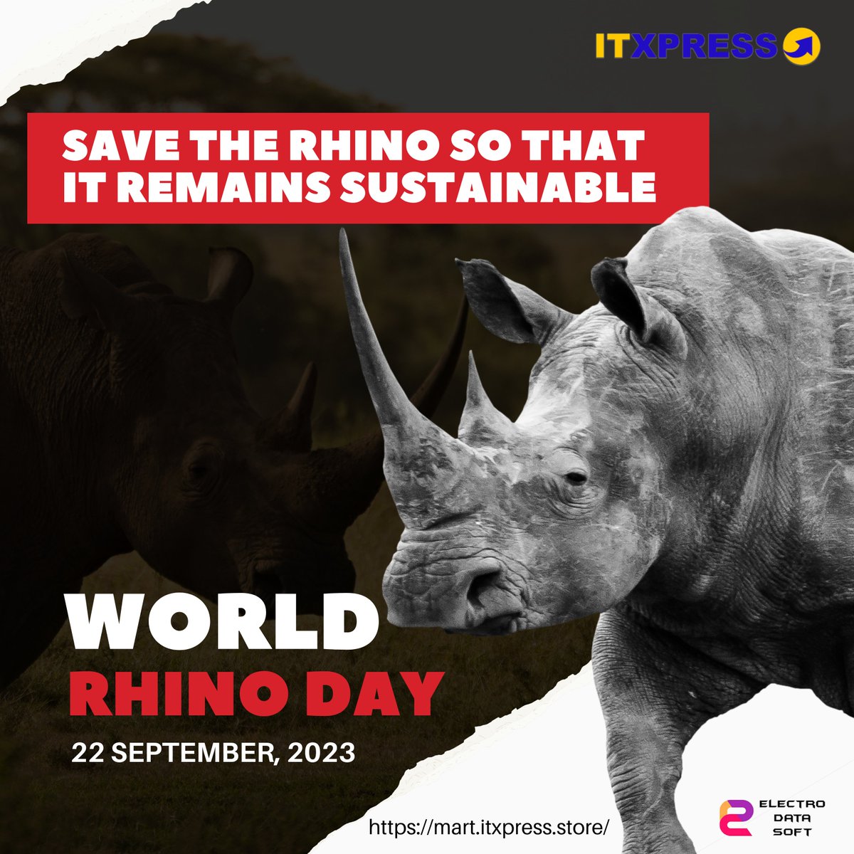 itxpress_'s tweet photo. Happy World Rhino Day! 
Let's stand together and make a positive impact on the future of rhinos and our planet. 

#WorldRhinoDay2023  #saverhino https://t.co/PPH1lZVnNu