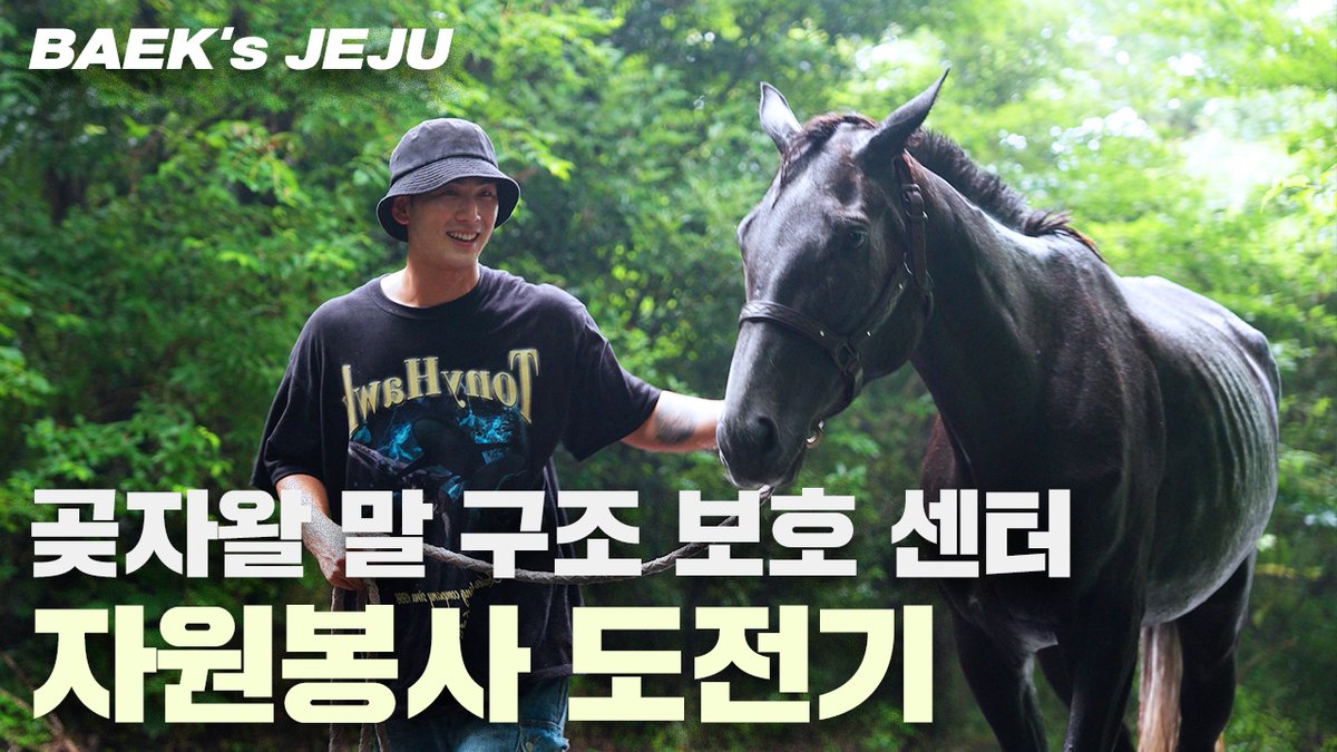 [BAEK's] BAEK's JEJU | 곶자왈 말 보호 센터 자원봉사하기 | 봉사의 아이콘

▶ youtu.be/8s9dqTF0Tdw

#백호 #강동호 #BAEKHO #KANGDONGHO
#BAEKsJEJU