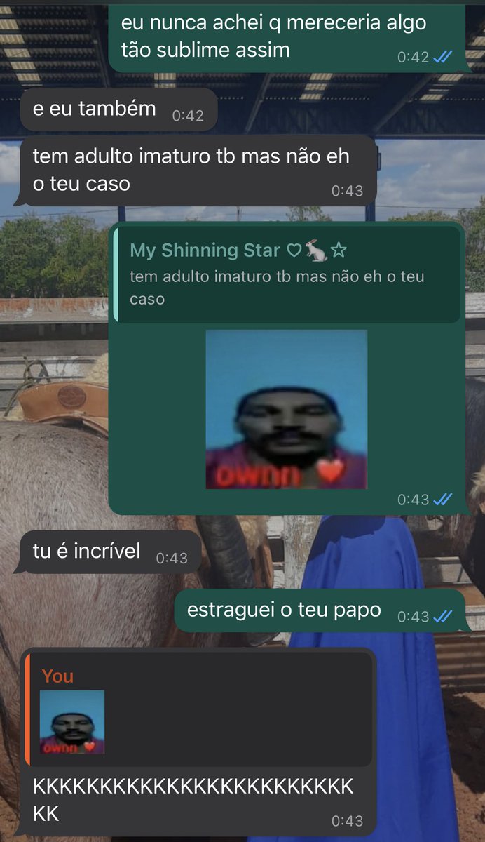 burrimho's tweet photo. n sei como q ela n me odeia nmrl msm https://t.co/ze8lLocx8U