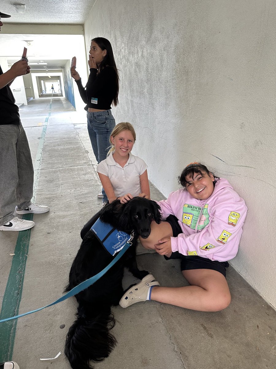 Bethany Larkin tweet media