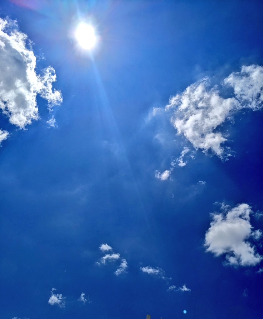 ᑭᖇᑌᖴᖴE et les Mounous au Yucatán ☀️ tweet media