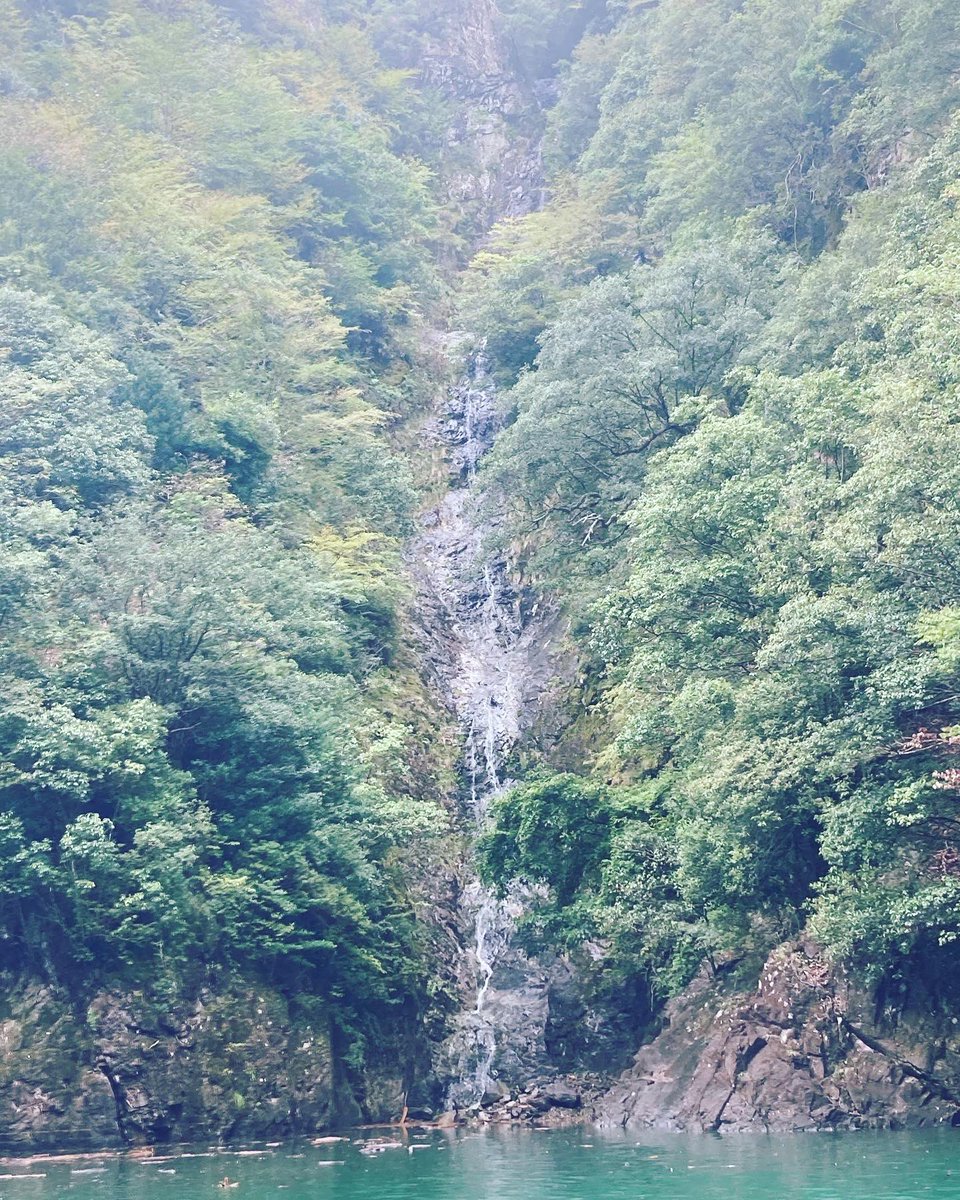 ogure23's tweet photo. day1.七川day2合川day3池原のダム3本立て
今年最後の遠征かもです
癒されて楽しかったが、和歌山は遠い➕山道がおっかなくてビビってしまいました🤖
#池原ダムバス釣り #池原ダムy企画 #七川ダムバス釣り #合川ダムバス釣り #古座川 https://t.co/UtdIngPK9Q