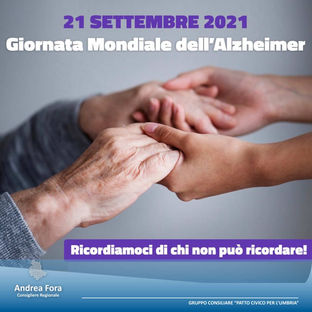 Andrea Fora tweet media