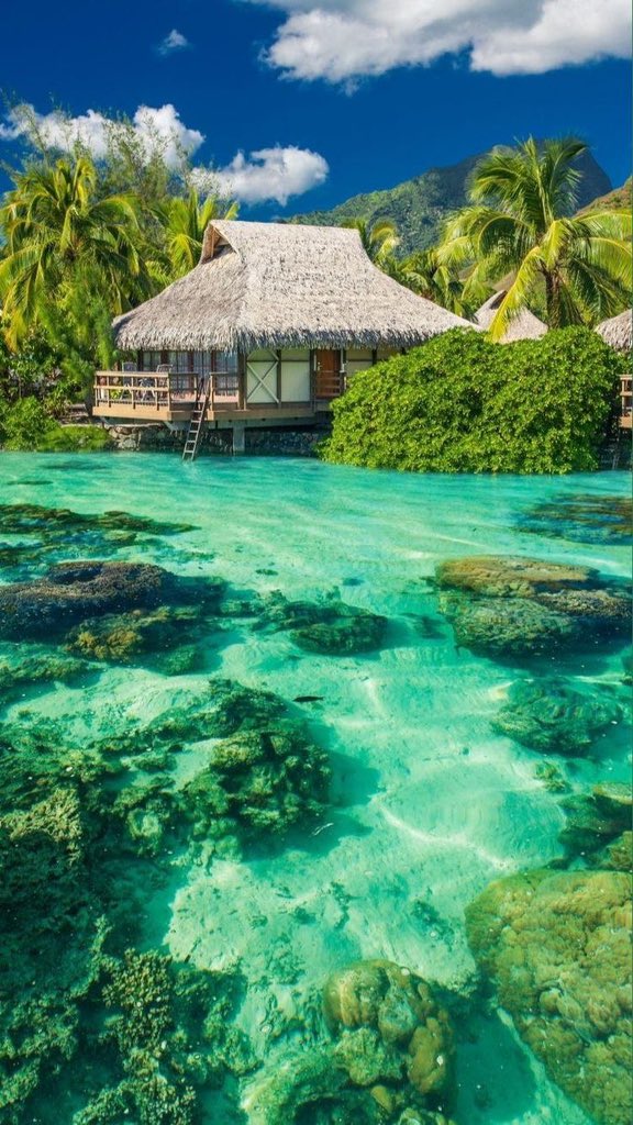 'Bora Bora: A tropical dream where crystal-clear waters, lush greenery, and overwater bungalows set the stage for an idyllic South Pacific escape. 🏝️🌞🇵🇫 #BoraBora #TropicalParadise'