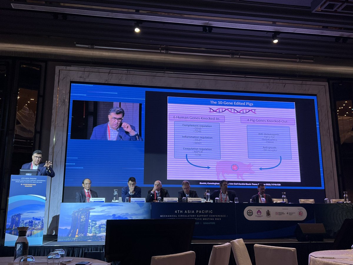 slumberbell's tweet image. Happening now at #APACMCS @ISHLT Singapore, Dr @MRMehraMD shared about the challenges and current status of #xenotransplantation 🫀