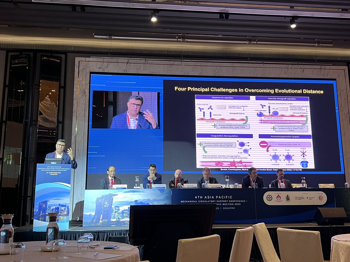 slumberbell's tweet image. Happening now at #APACMCS @ISHLT Singapore, Dr @MRMehraMD shared about the challenges and current status of #xenotransplantation 🫀