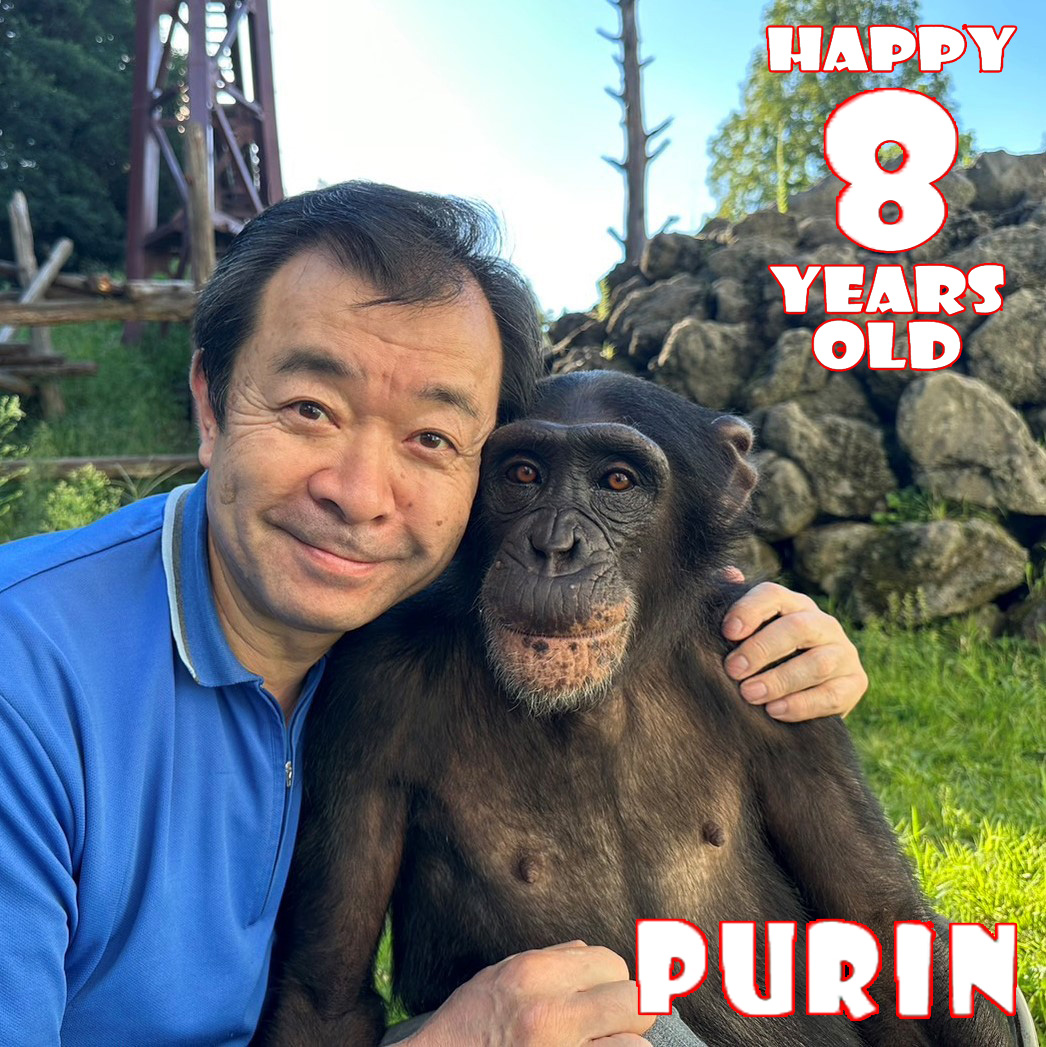 今日、プリンちゃんが8歳になりました！ 顔立ちもすっかりお姉さんに