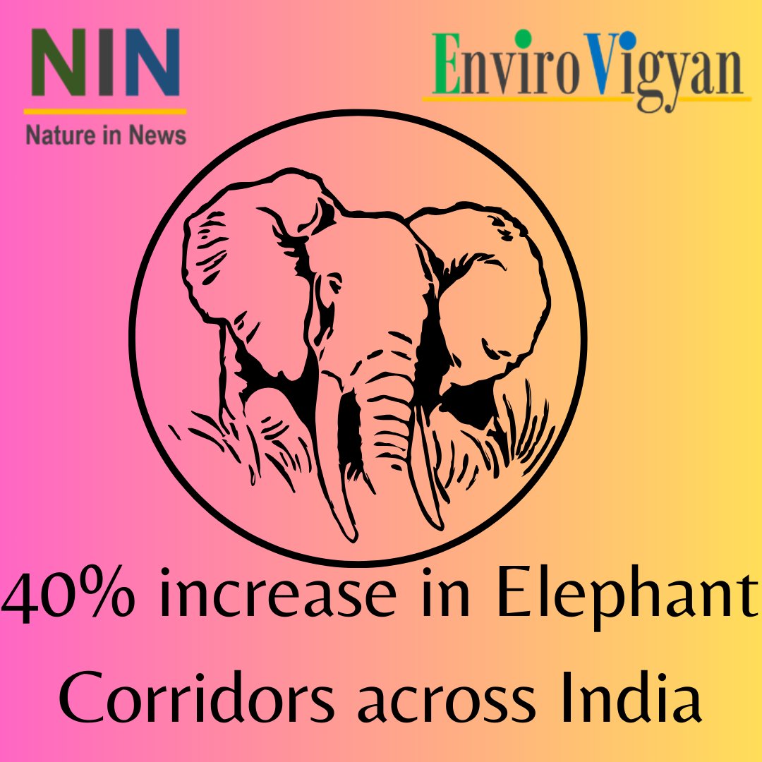EnviroVigyan's tweet photo. #natureinnews #environment #nature #elephants #elephantcorridors #elephantsindia #india #elephantconservation #wildlife #wildlifeconservation #protectcorridors #protectelephants #elephantsofindia https://t.co/NewHDQYHUo