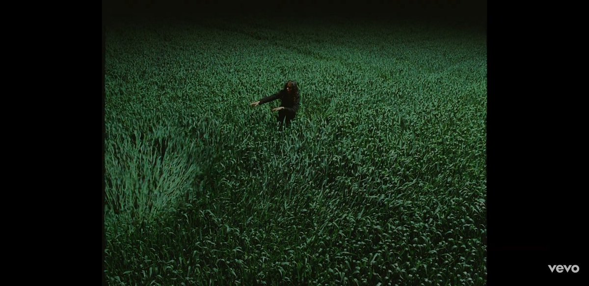 070shakearchive's tweet image. 