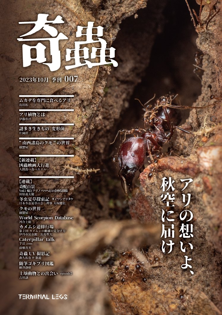 itome@伊藤蟻植物農園 on X: 