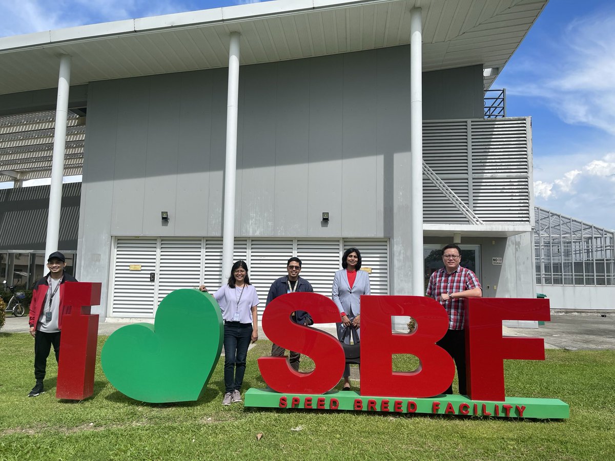 anupamajhingane's tweet photo. Productive visit to @irri, delving into collaboration prospects. Engaging discussions with scientists and an insightful field visit made it a delightful experience! 🌾 Looking forward to working together to uplift #smallholder farmers globally. #mutationbreeding #rice https://t.co/B8MRoBj0te
