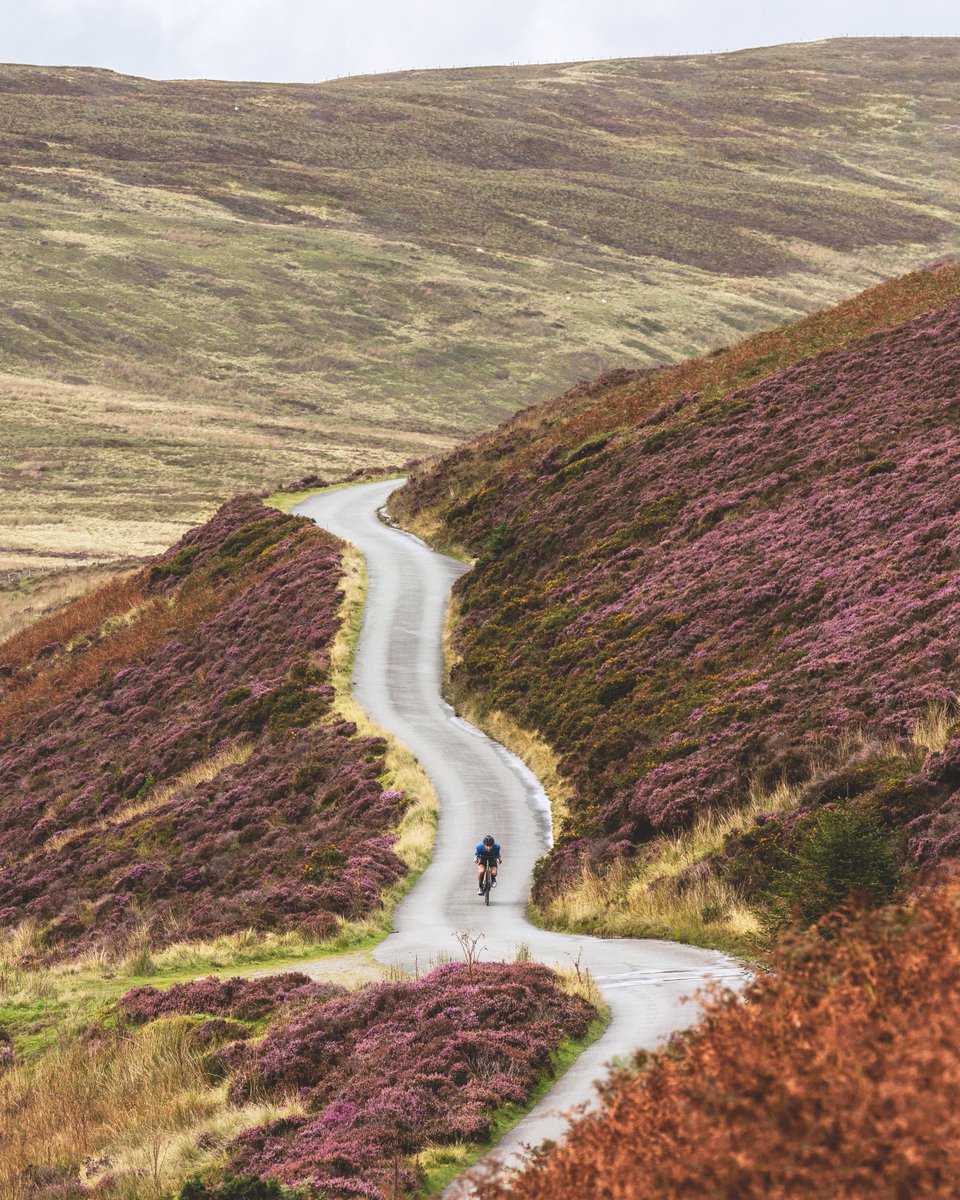 Some roads just beg to be ridden. Sweeping curves, pristine tarmac, towering vistas.

#velobici #vb #madeinengland #englandmade #snowdonia #bwlchygroes #cycling #cyclingstyle #cyclingphotography