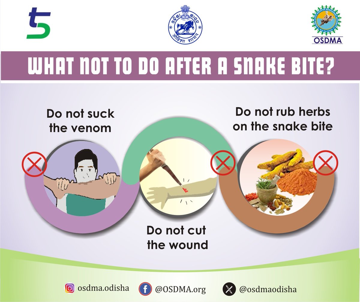 osdmaodisha's tweet photo. If bitten, keep calm &amp; seek immediate medical help. Don't try to suck out the venom or cut the wound. Time is extremely crucial. 
#SnakeBiteFirstAid #SnakeBiteAwareness #OdishaCares #ResilientOdisha
@SecyChief @SRC_Odisha @HFWOdisha @ForestDeptt https://t.co/QlzQejfxTX
