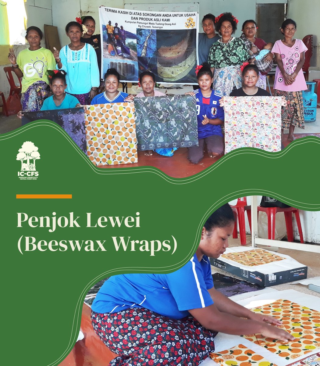 IC-CFS Malaysia tweet media