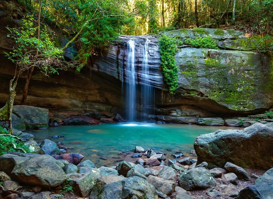 Just 10-minutes drive from #Mooloolaba, you'll find #SerenityFalls, located in the heart of Buderim Forest Park 😍. For more info on visiting Serenity Falls, check out our guide: bit.ly/3EzhEUV 📸 credit: @jackie79_photos (on Instagram) #visitsunshinecoast #nature