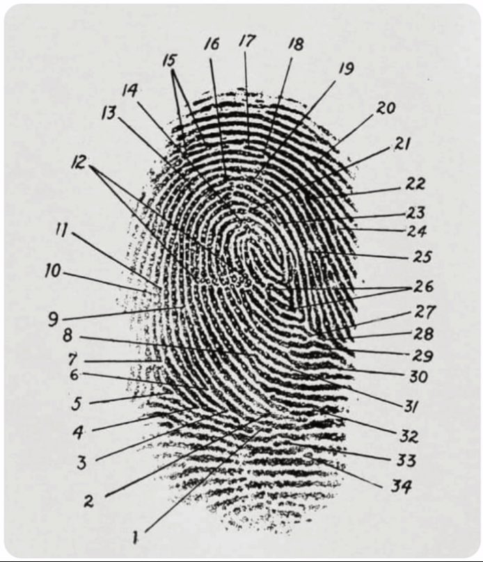 BayaanAlgarny's tweet photo. من اعظم المعجزات الإلهية في خلق الانسان هي البصمة الوراثية DNA وبصمة اليد
مابين كل البشر الذين عاشو على وجه الأرض لا يوجد شخص يمتلك نفس بصمتك او حتى بصمة قريبة منها او تشبهها 

( وَفِي أَنفُسِكُمْ أَفَلَا تُبْصِرُون )
سبحان الخالق العظيم المُبدع 

 #جمعه_مباركه https://t.co/auyhL7vmKg