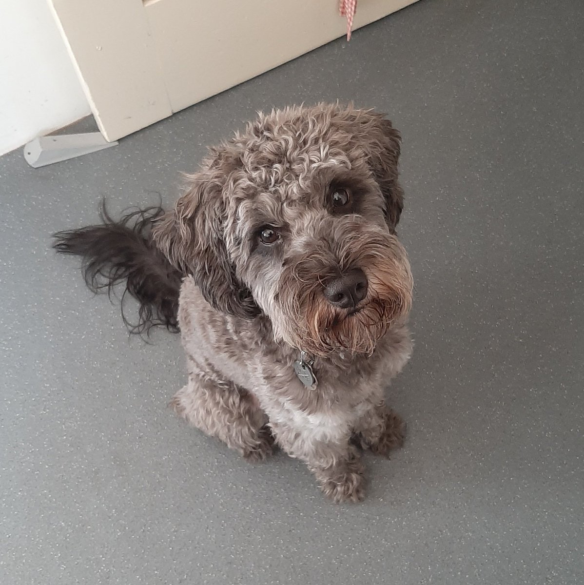 Jane Audas tweet media