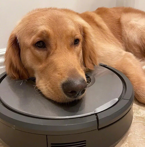#mondaymood😴 

Can you relate today?

At least #Roomba has the cleaning covered 💚